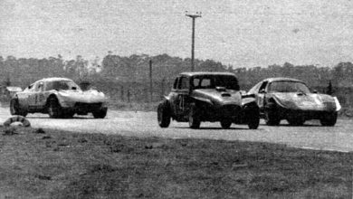 Cupecita Mandrake TC