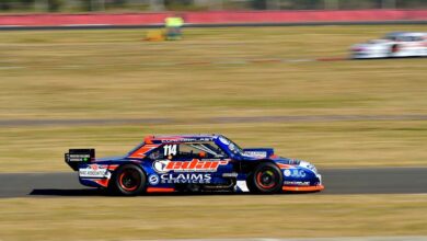 Ferrante Torino 2021