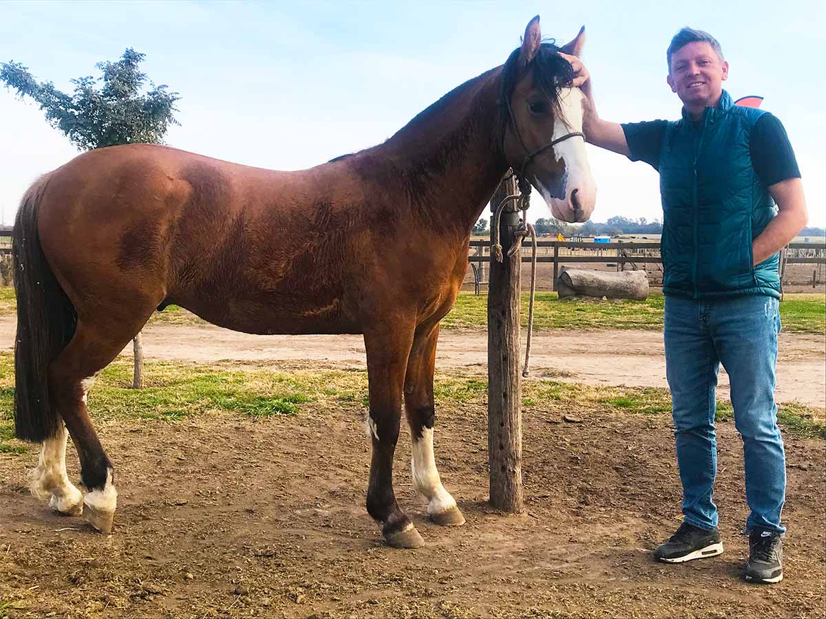 Ortelli con uno de sus caballos.