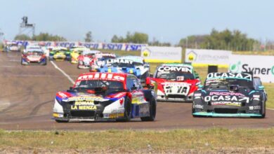 Los Torino de Todino y Pernía en Viedma