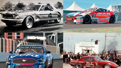 Mustan en el TC.
