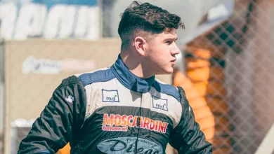 Moscardini mira serio hacia el costado