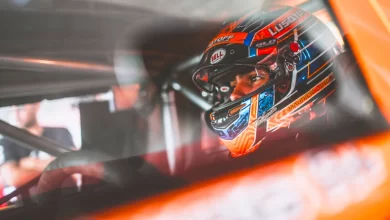 Lambiris en el habitáculo