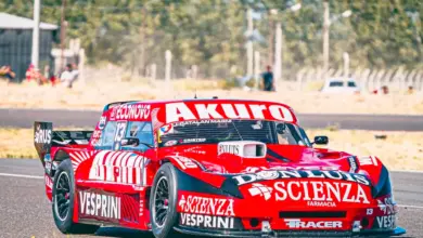 Falcon en la pista