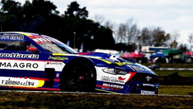 Mustang de Todino.