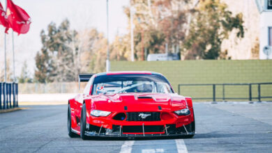 Mustang de Catalán Magni.