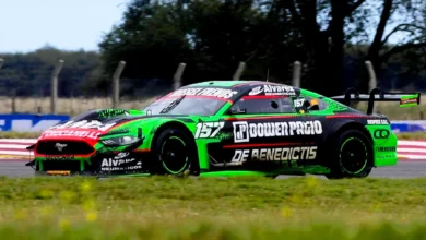 Mustang en la pista