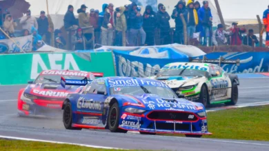 Mustang doblando