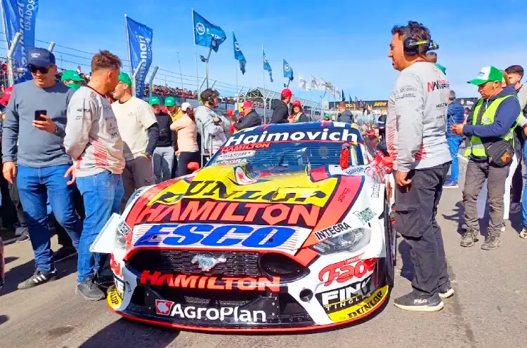 Mustang de Werner en la grilla