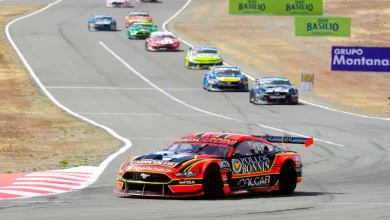 Moscardini gano TC