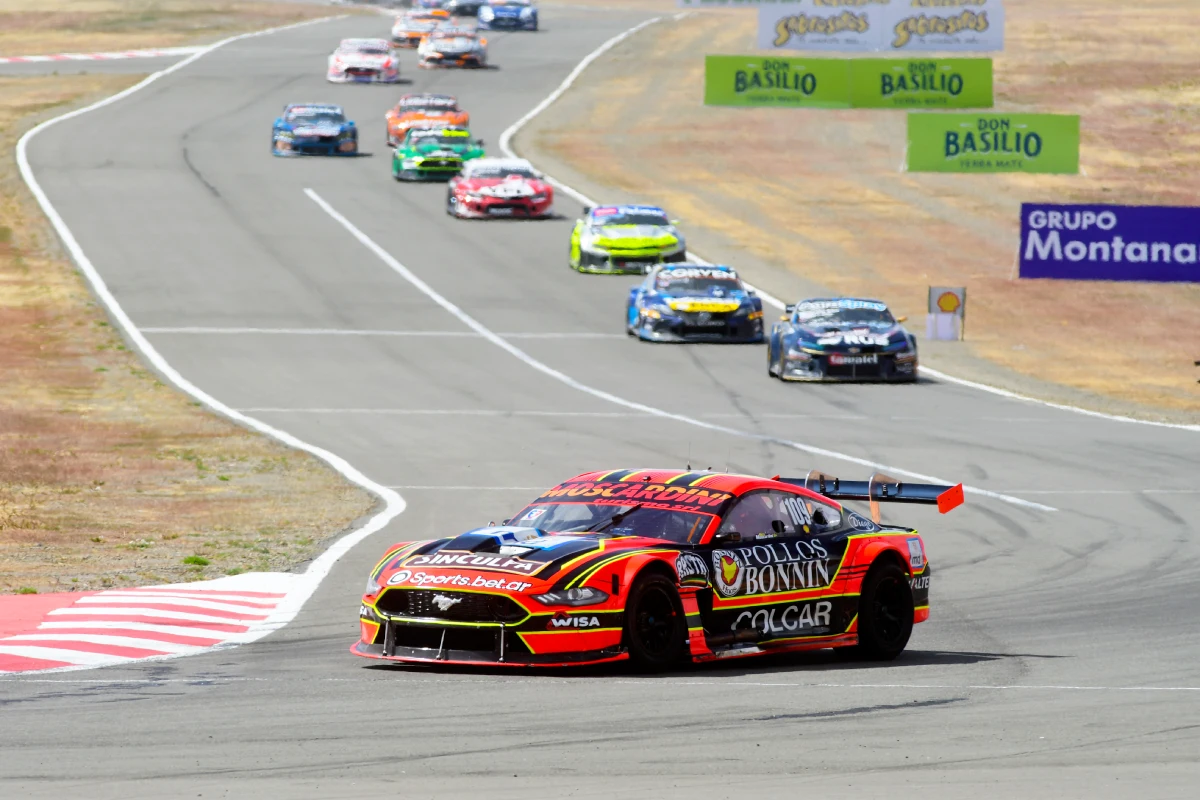 Moscardini gano TC